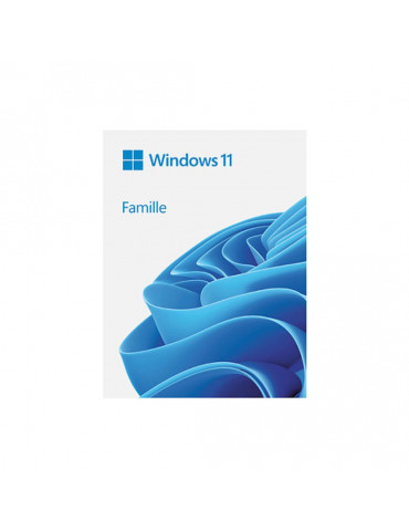Microsoft Windows 11 Home 64bit (FR) DSP OEI DVD
