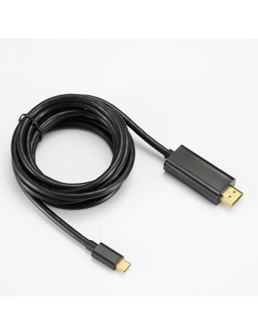 C ble USB-C vers HDMI m le/m le compatible avec appareils en USB-C 3.1 et alt D
