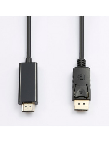 C ble HDMI Male / DisplayPort avec système de verrouillage – 2M