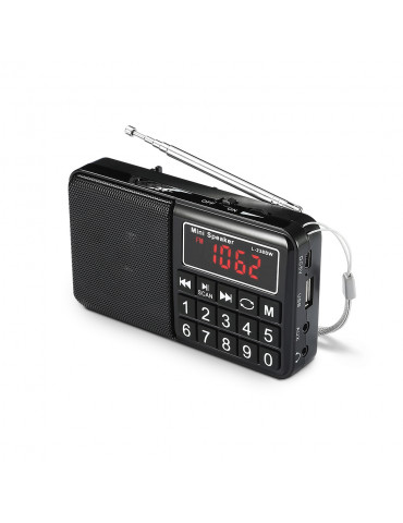 Radio grandes ondes AM / FM / SW Lecteur USB / Micro SD batterie rechargeable NO