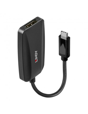 Convertisseur USB Type C vers DisplayPort 1.4