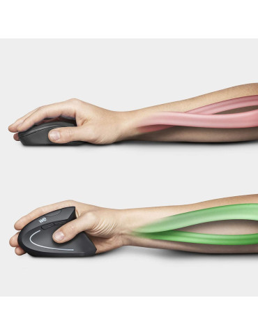 Souris verticale WE sans...
