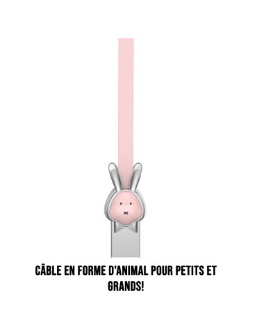 C ble lapin USB/micro USB...