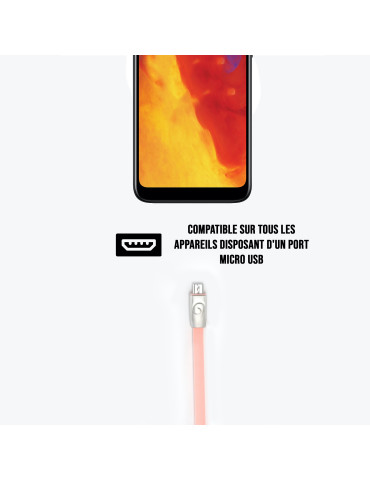 C ble lapin USB/micro USB...