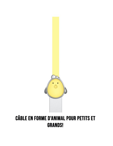 C ble Poule USB/micro USB...