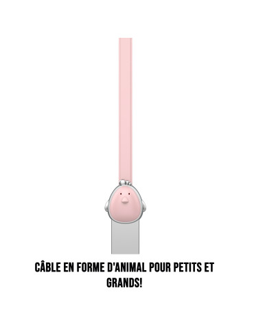 C ble Poule USB/micro USB...